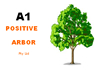 A1 Positive Arbor Pty Ltd